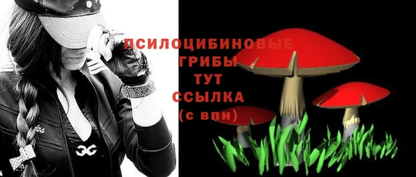 ALPHA PVP Алексин