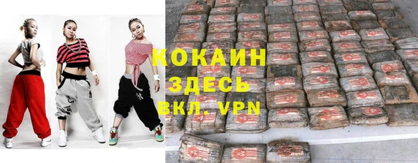тгк Снежинск