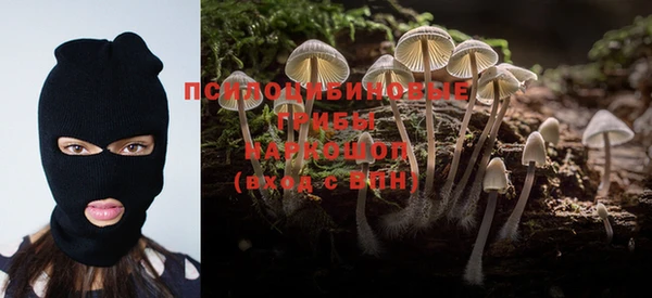 ALPHA PVP Алексин