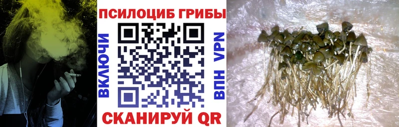Галлюциногенные грибы GOLDEN TEACHER Лениногорск