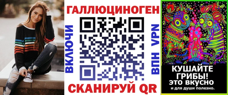 Псилоцибиновые грибы Psilocybine cubensis Лениногорск