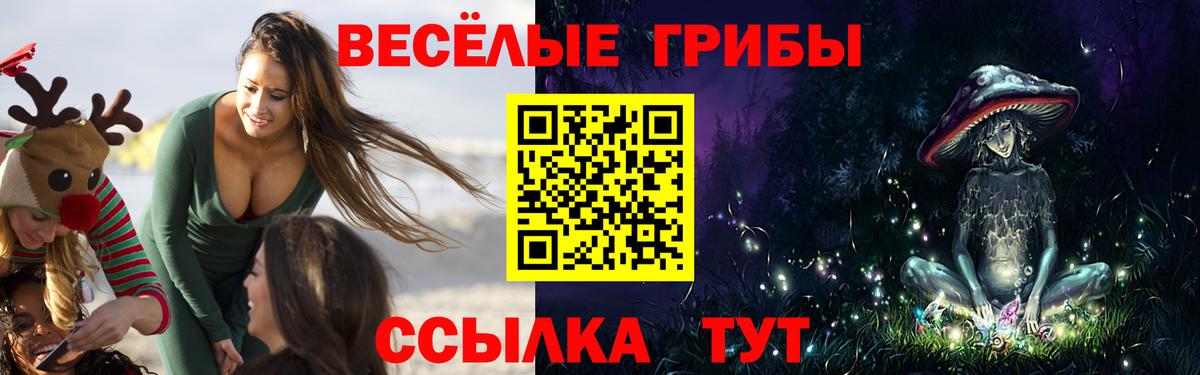 Галлюциногенные грибы GOLDEN TEACHER  Галлюциногенные грибы Psilocybine cubensis  Лениногорск  Вход с VPN 